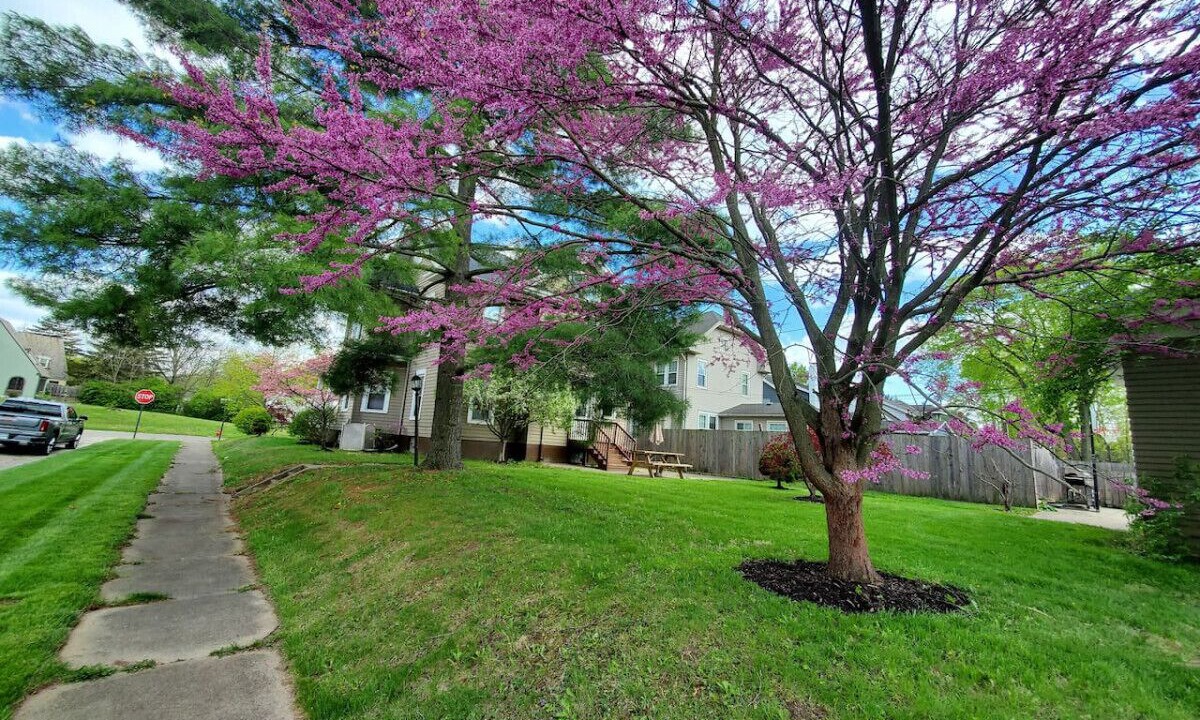 Photo of Outdoor in Middletown