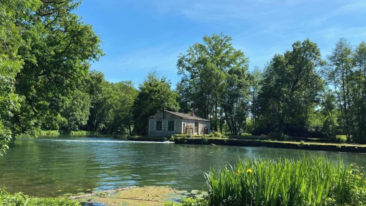 Photo of Others in Echire