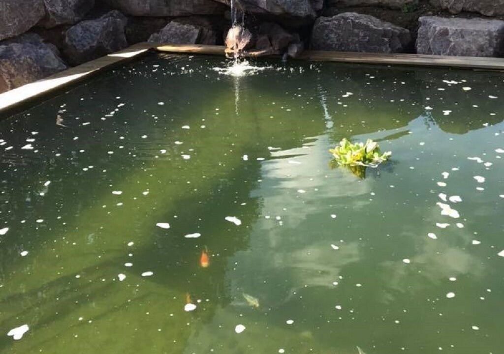 Photo of Outdoor in Outremecourt