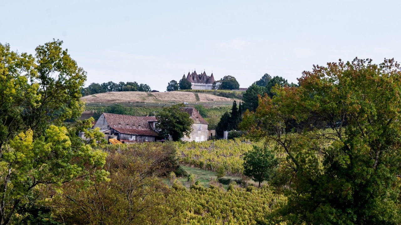 Photo of Others in Monbazillac