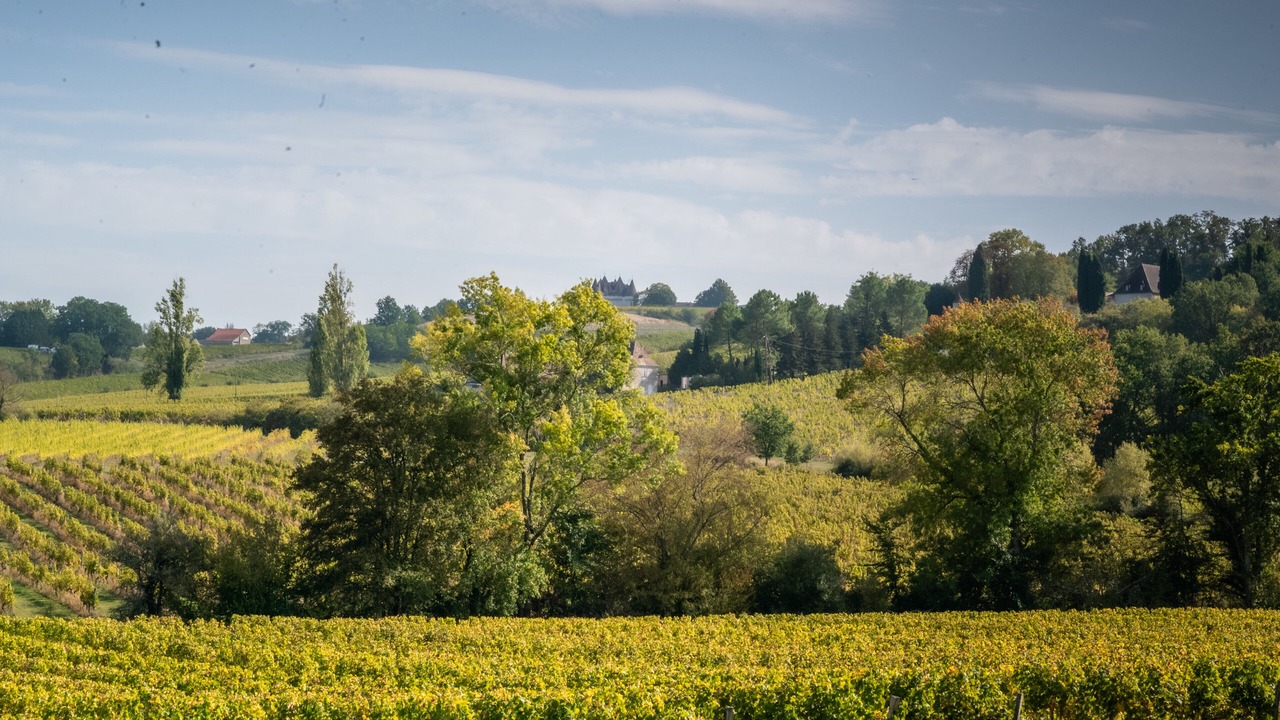Photo of Others in Monbazillac