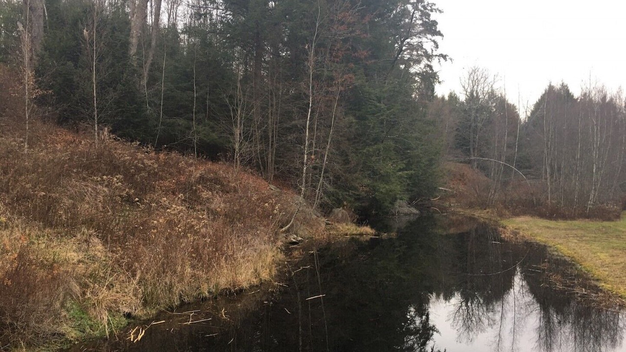 Photo of Outdoor in Parksville