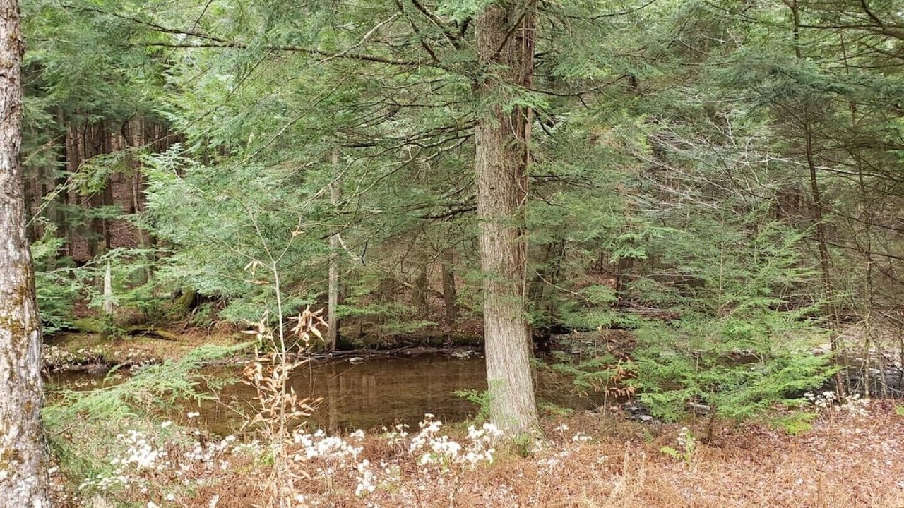 Photo of Outdoor in Parksville