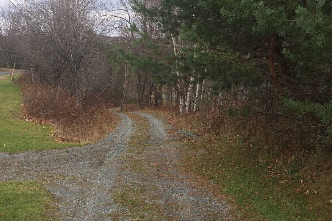 Photo of Outdoor in Parksville