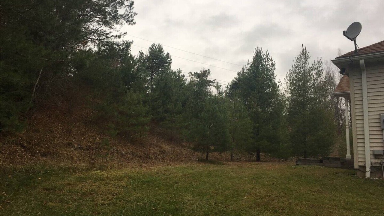 Photo of Outdoor in Parksville