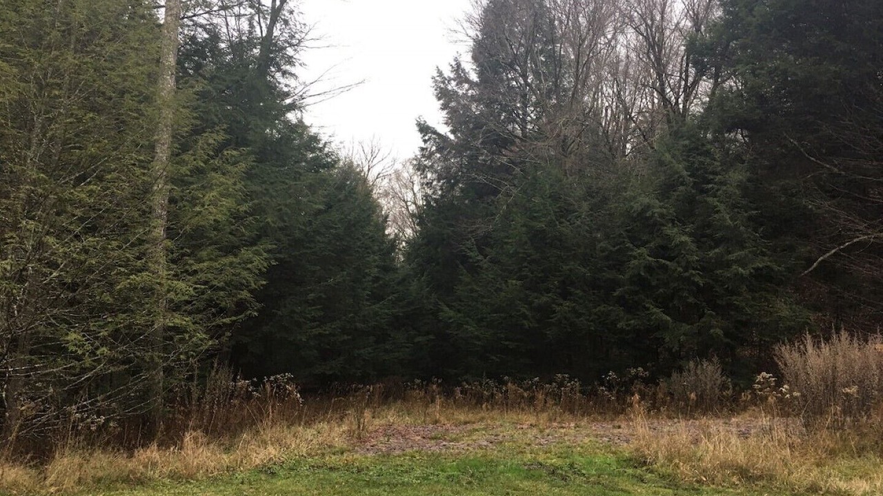 Photo of Outdoor in Parksville