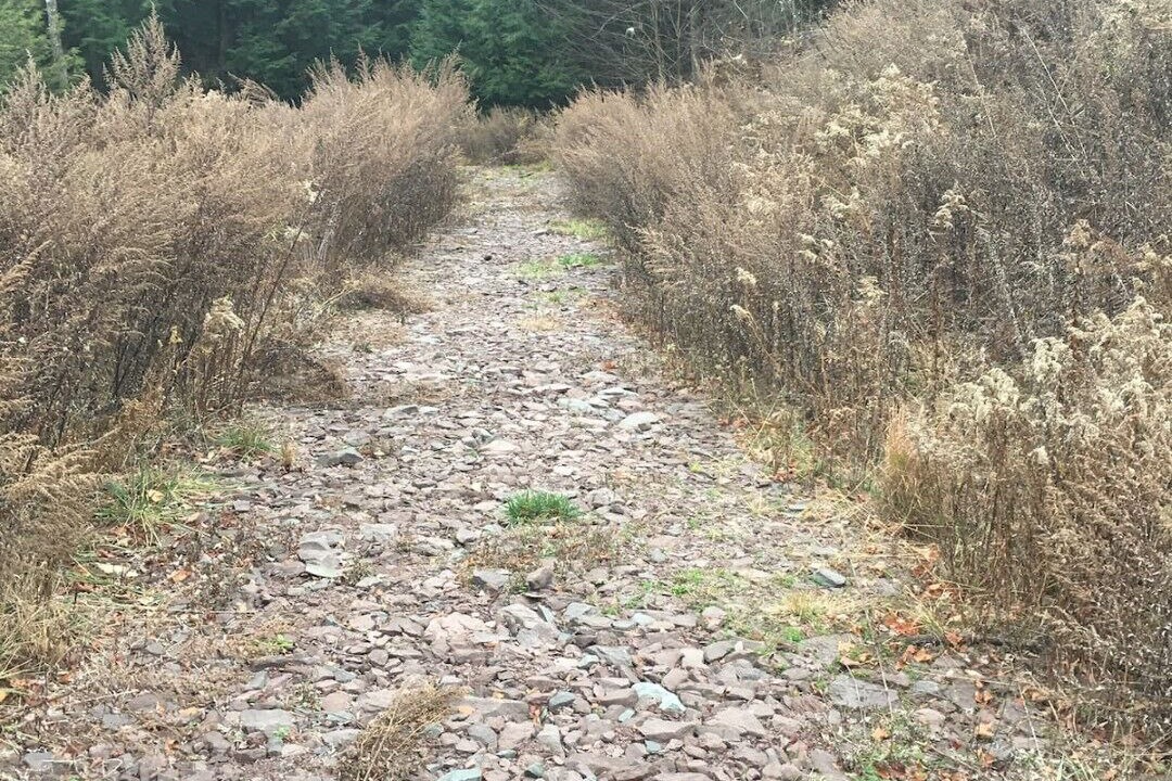 Photo of Outdoor in Parksville