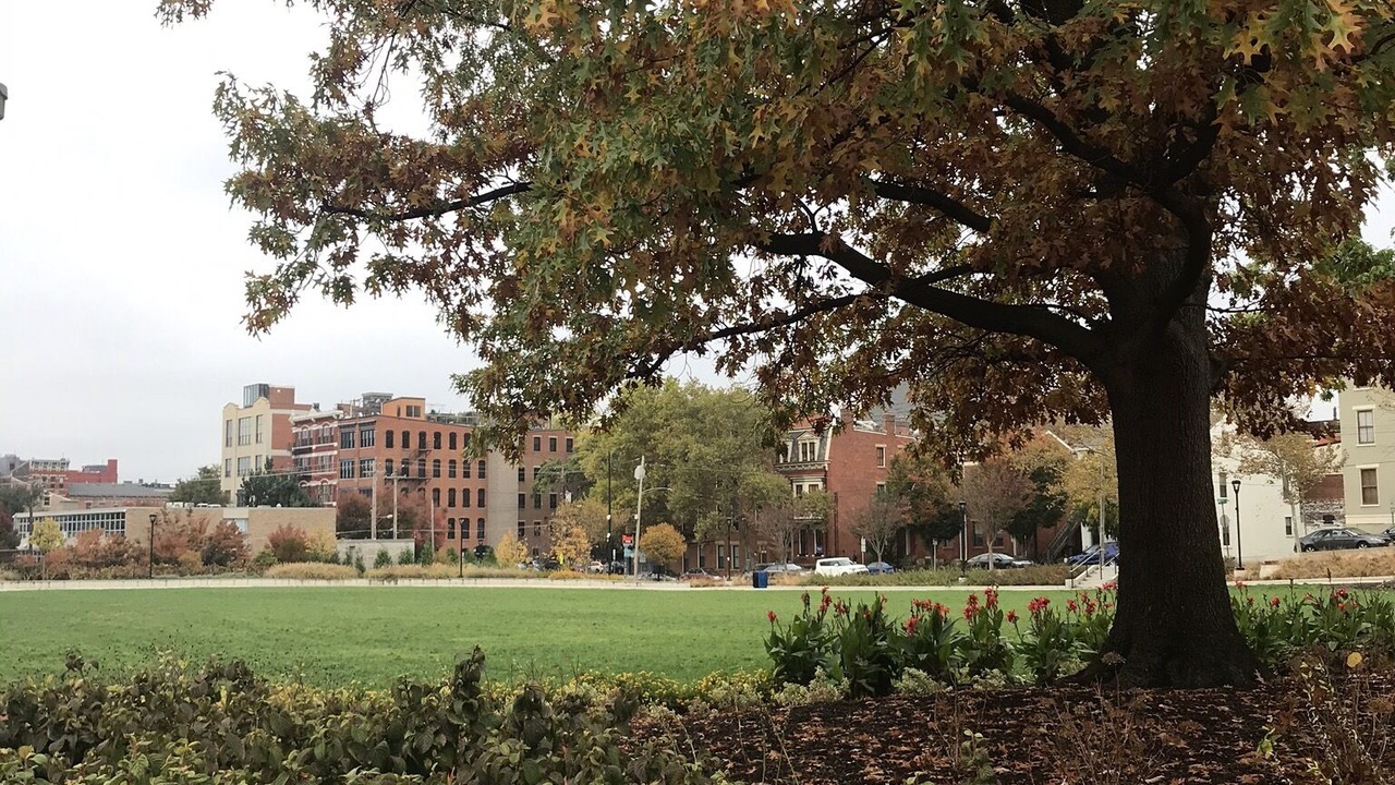 Photo of Outdoor in Pendleton