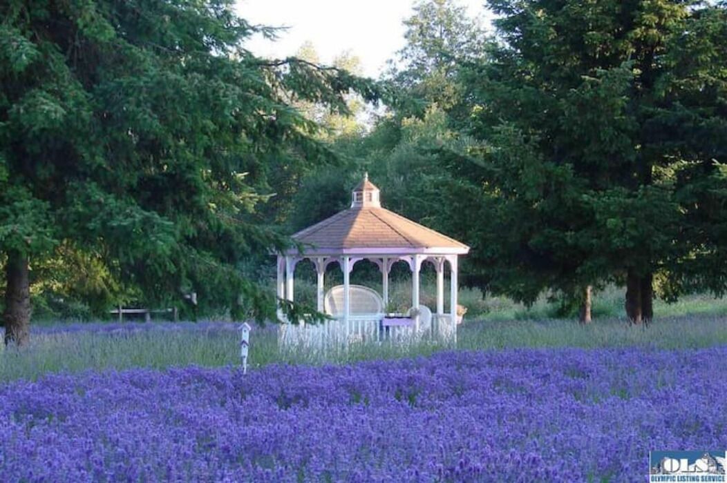 Photo of Outdoor in Sequim