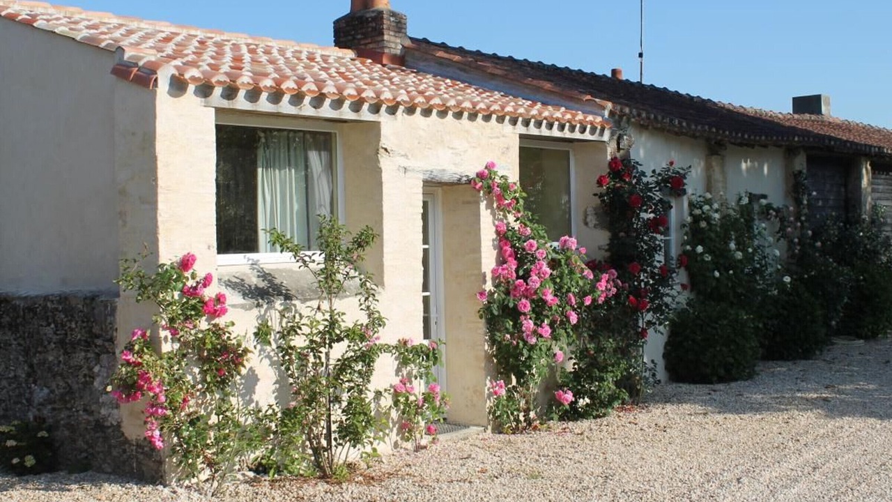 Photo of Outdoor in Saint-Christophe-du-Ligneron