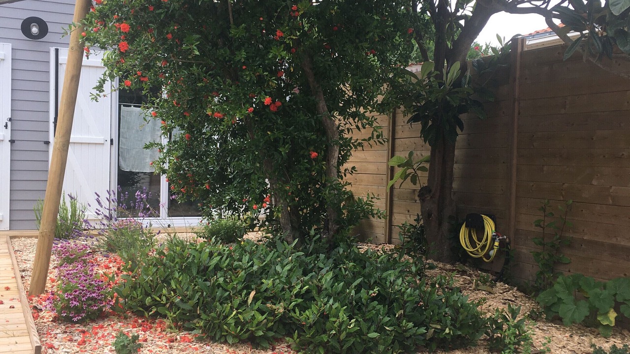 Photo of Outdoor in Barbatre