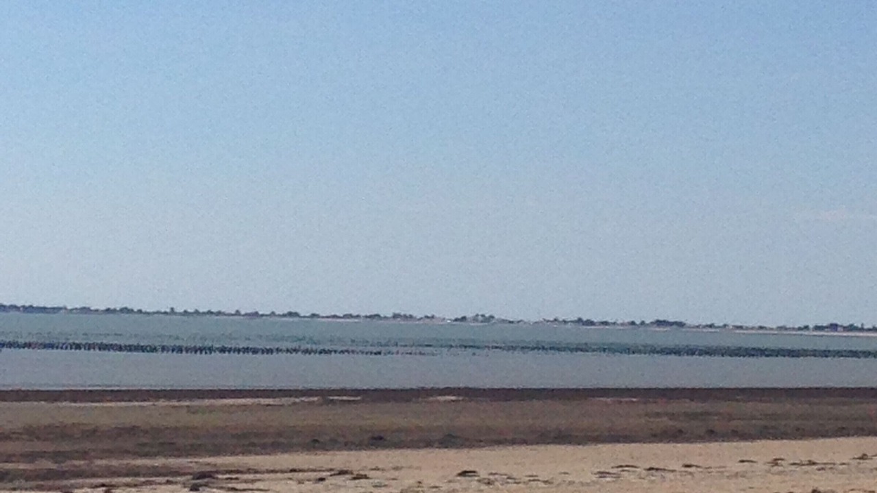 Photo of Others in Barbatre