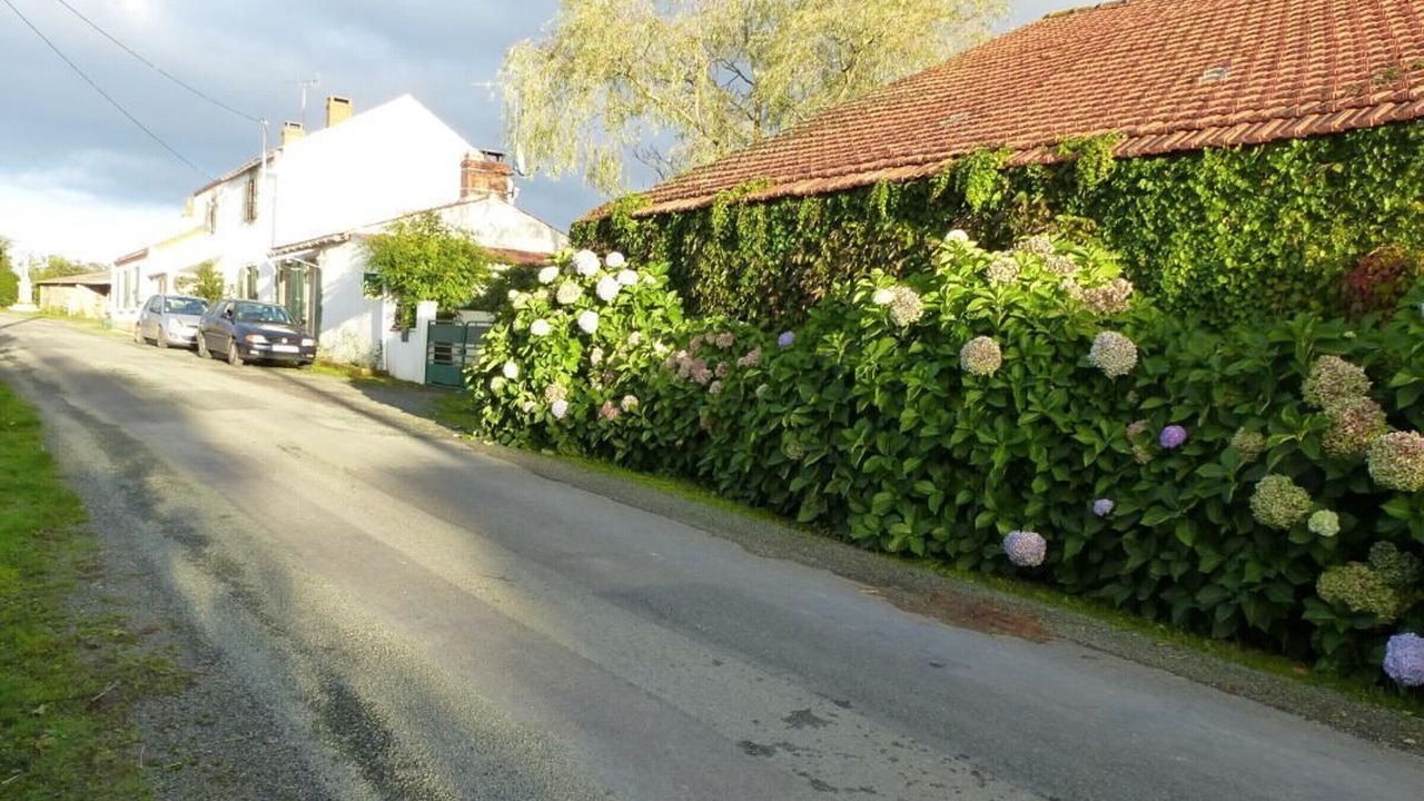 Photo of Outdoor in Saint-Julien-des-Landes