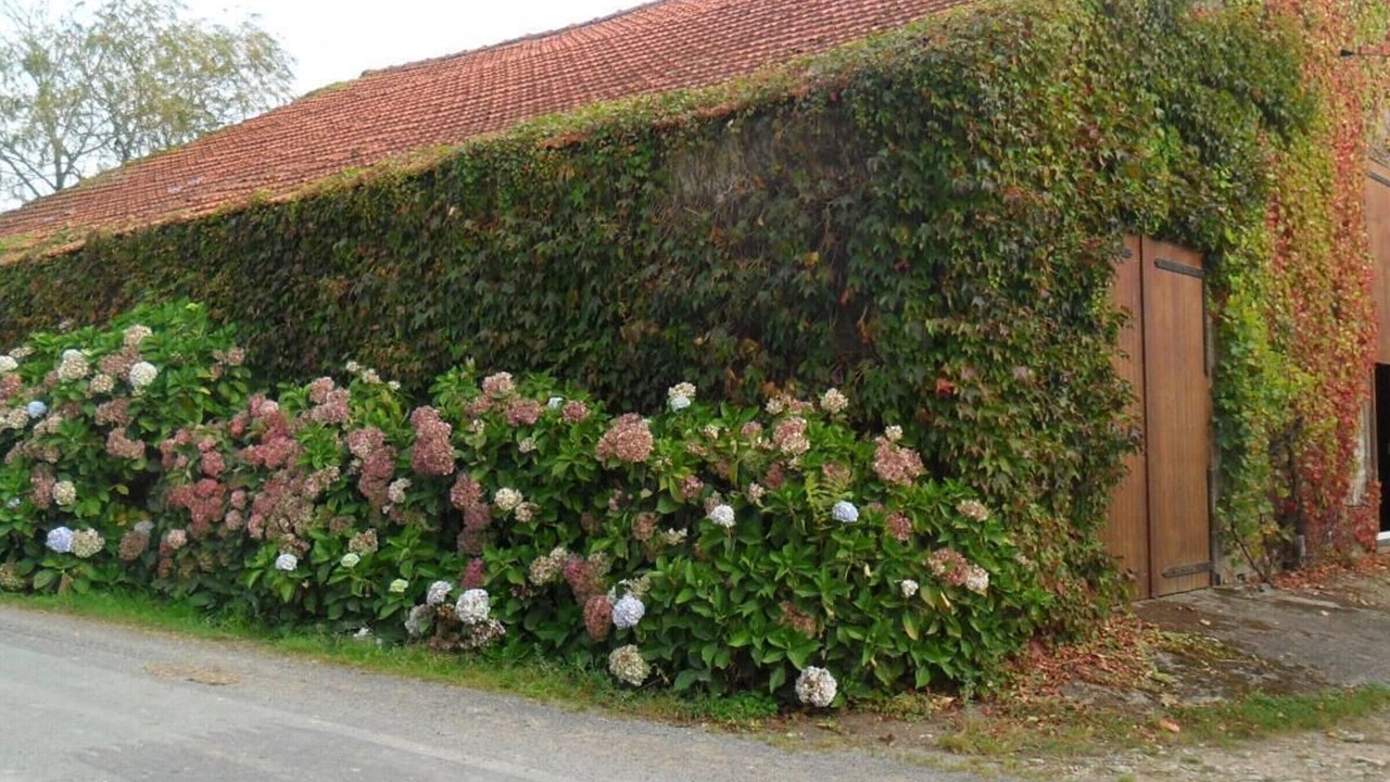 Photo of Outdoor in Saint-Julien-des-Landes