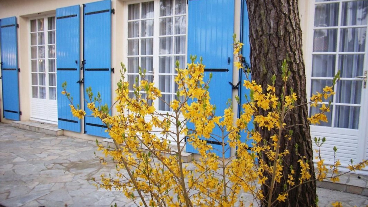 Photo of Outdoor in La Tranche-sur-Mer
