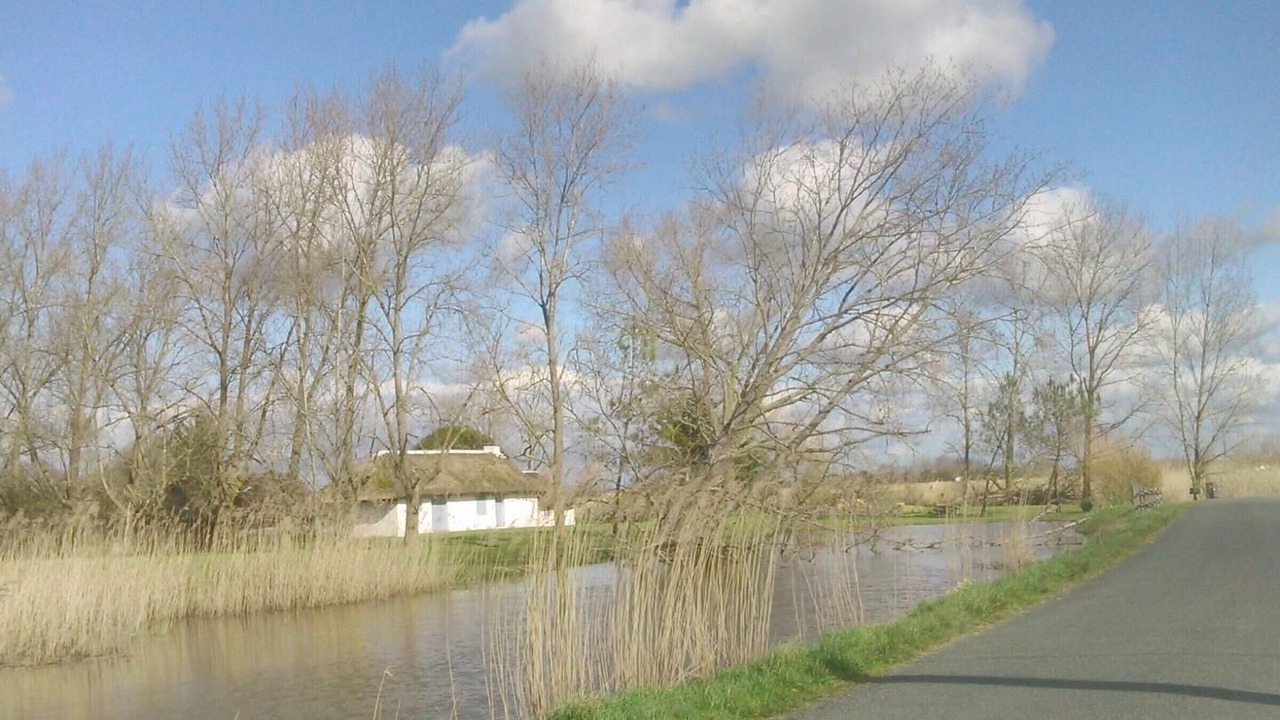 Photo of Others in La Garnache