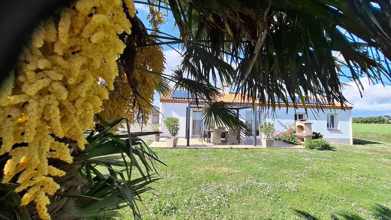 Photo of Outdoor in Brem Sur Mer