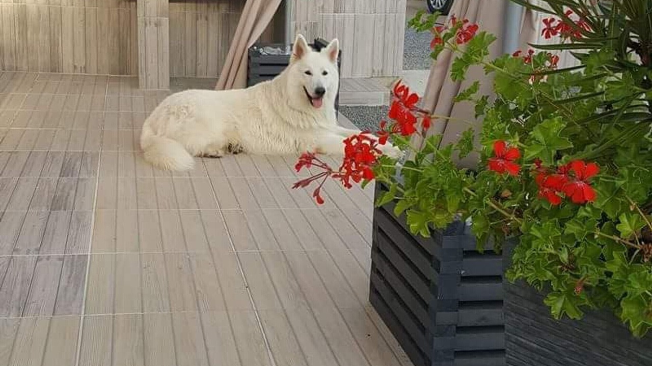 Photo of Outdoor in Brem Sur Mer