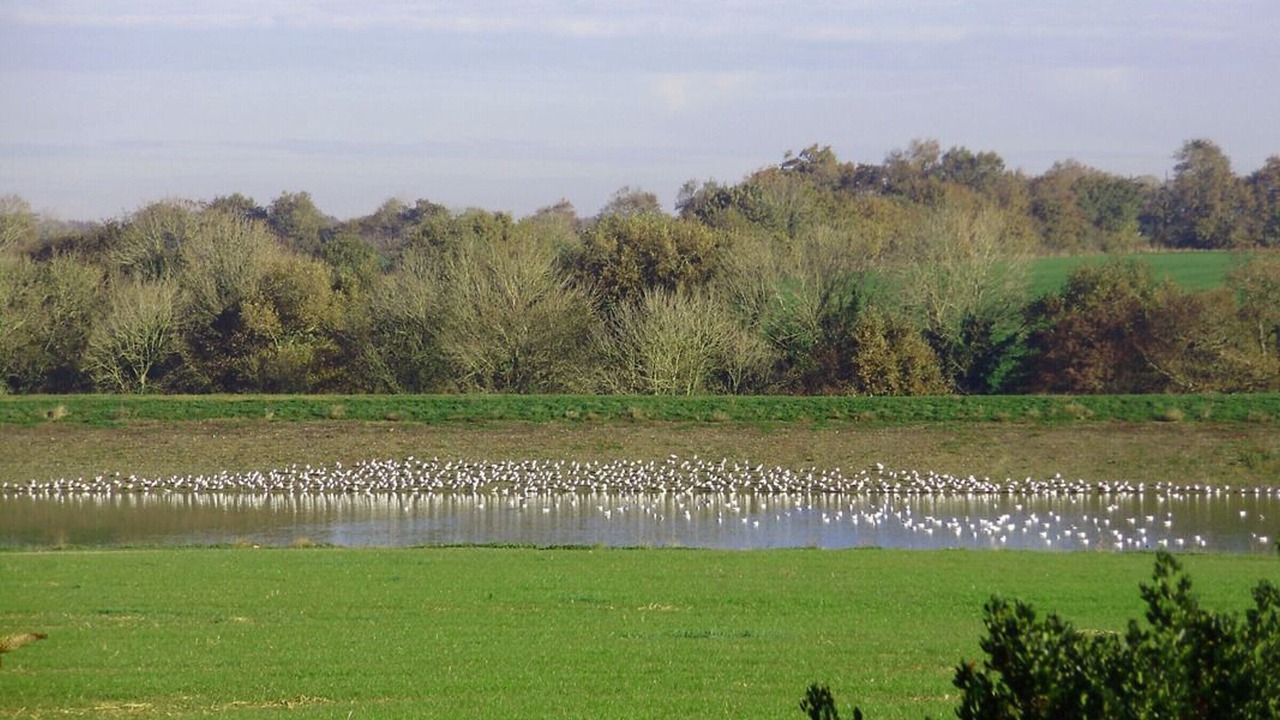 Photo of Outdoor in Vaire