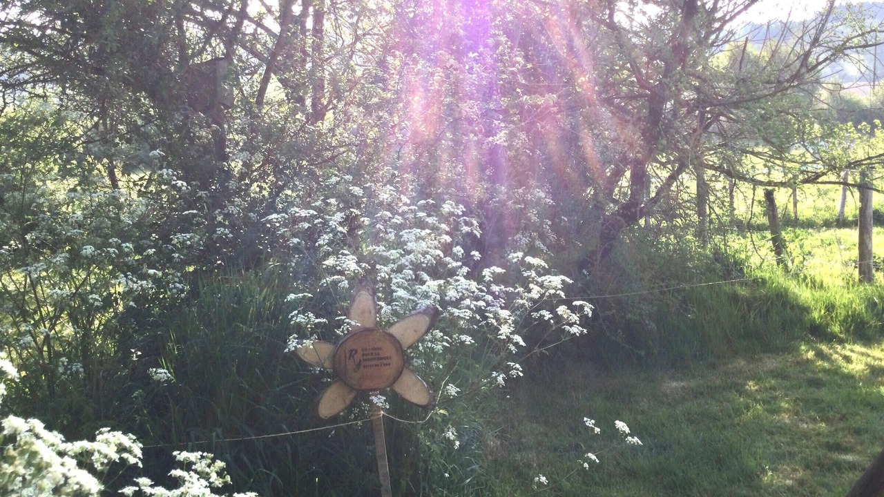 Photo of Outdoor in Chaille-sous-les-Ormeaux