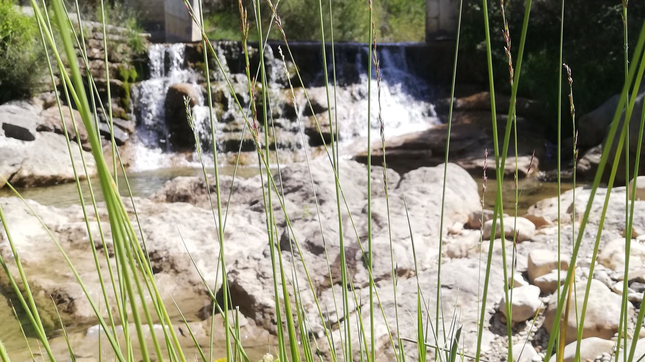 Photo of Outdoor in Gavin