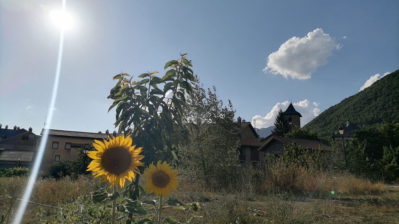 Photo of Outdoor in Gavin