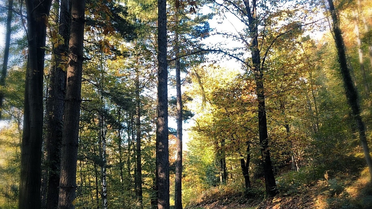 Photo of Outdoor in Cademario