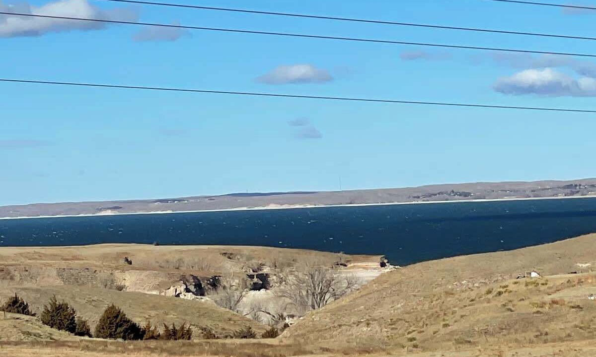 Photo of Others in Whitetail