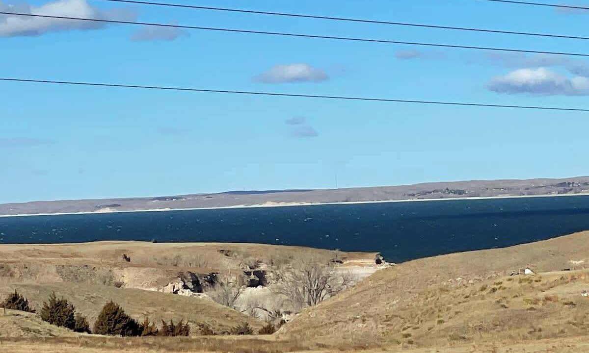 Photo of Others in Whitetail
