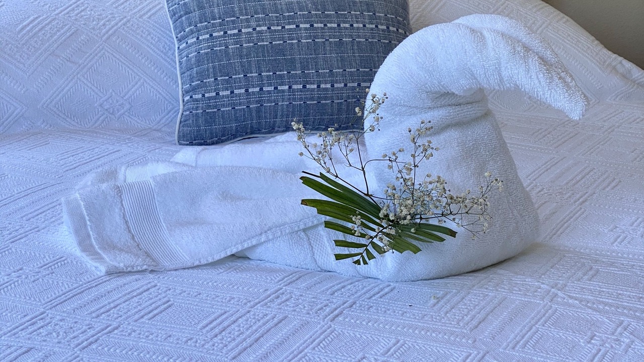 Photo of Bedroom in Nopolo