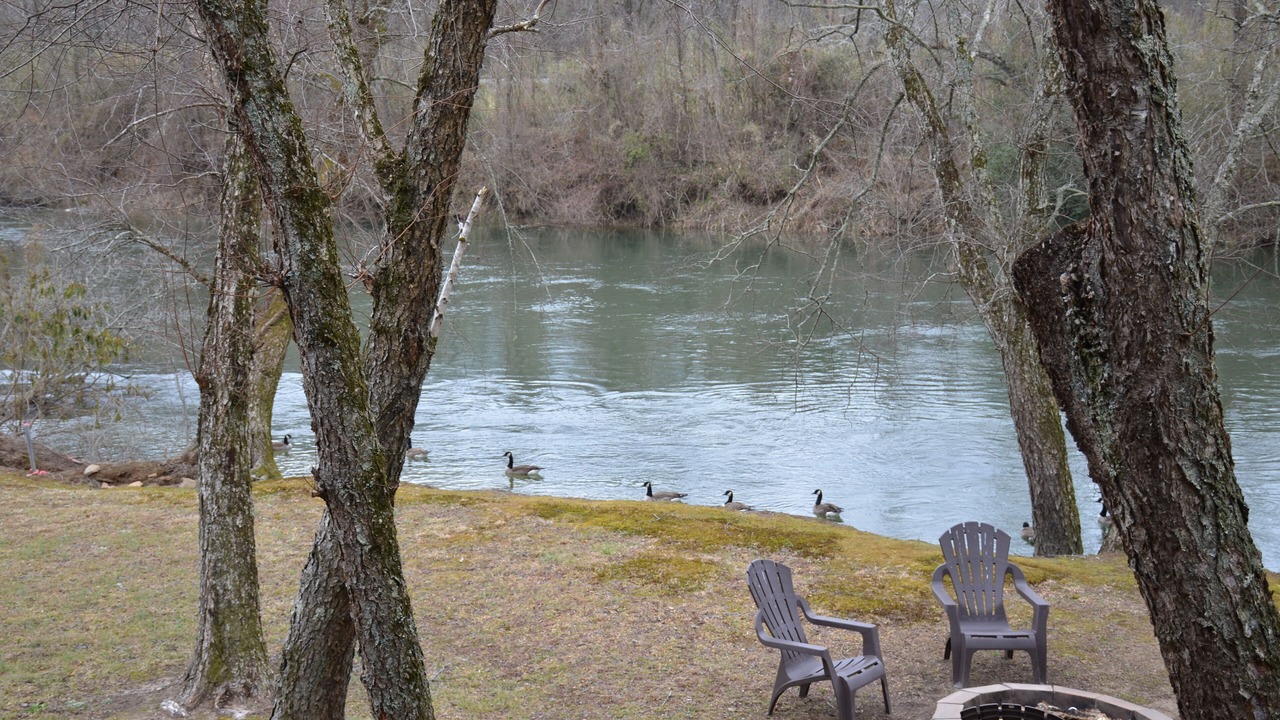 Photo of Outdoor in Mineral Bluff