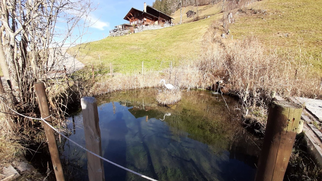 Photo of Others in Lenk
