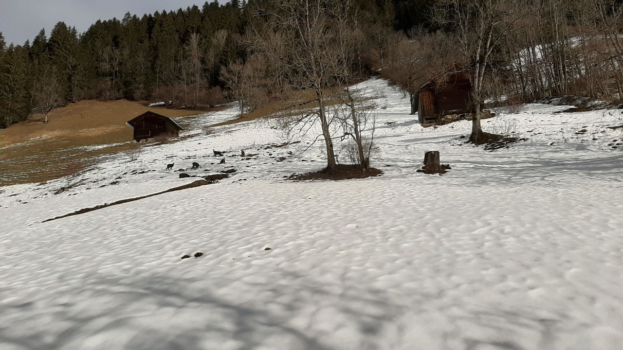 Photo of Outdoor in Lenk