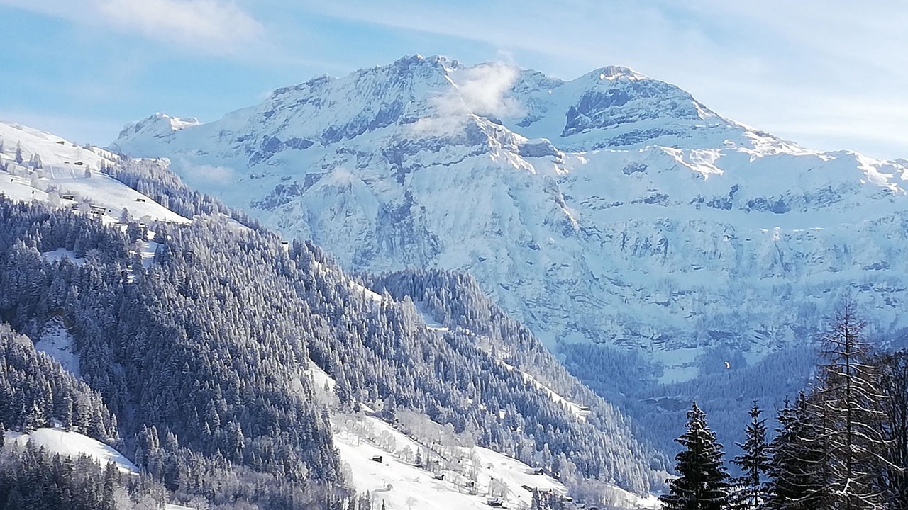 Photo of Others in Lenk