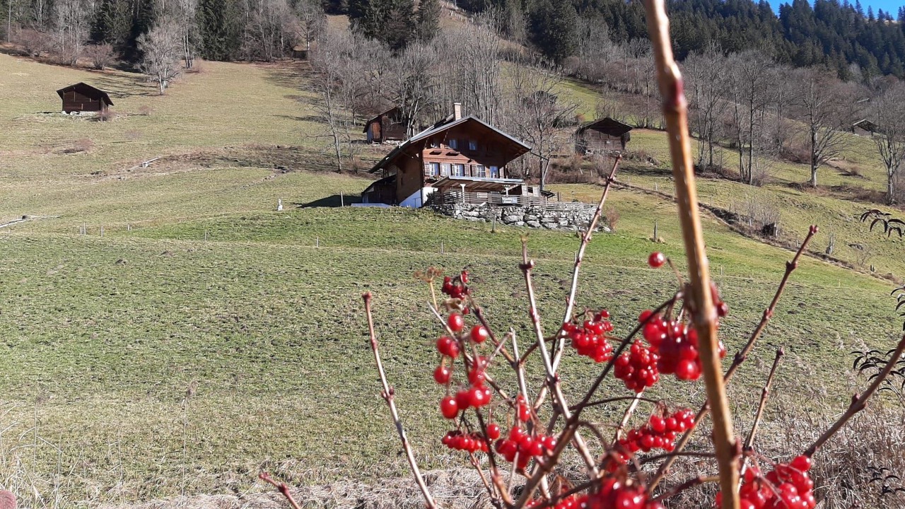 Photo of Outdoor in Lenk