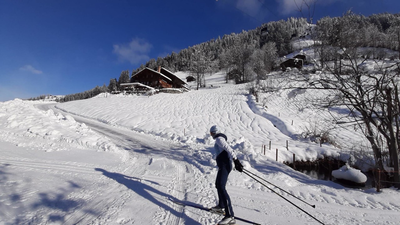 Photo of Others in Lenk