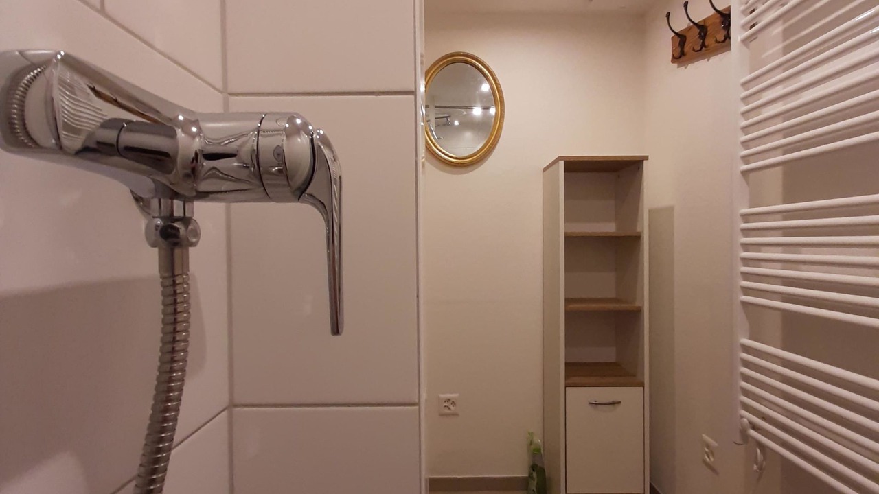 Photo of Bathroom in Lenk
