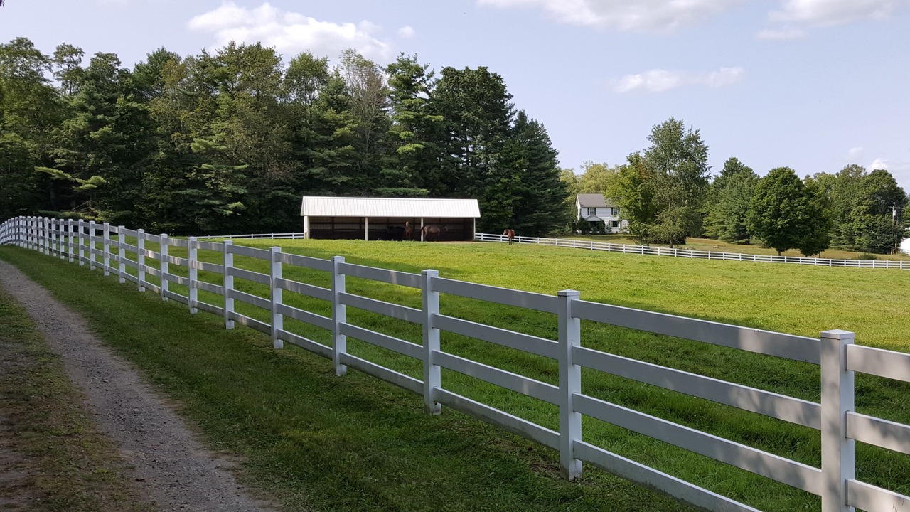 Photo of Outdoor in Chestertown