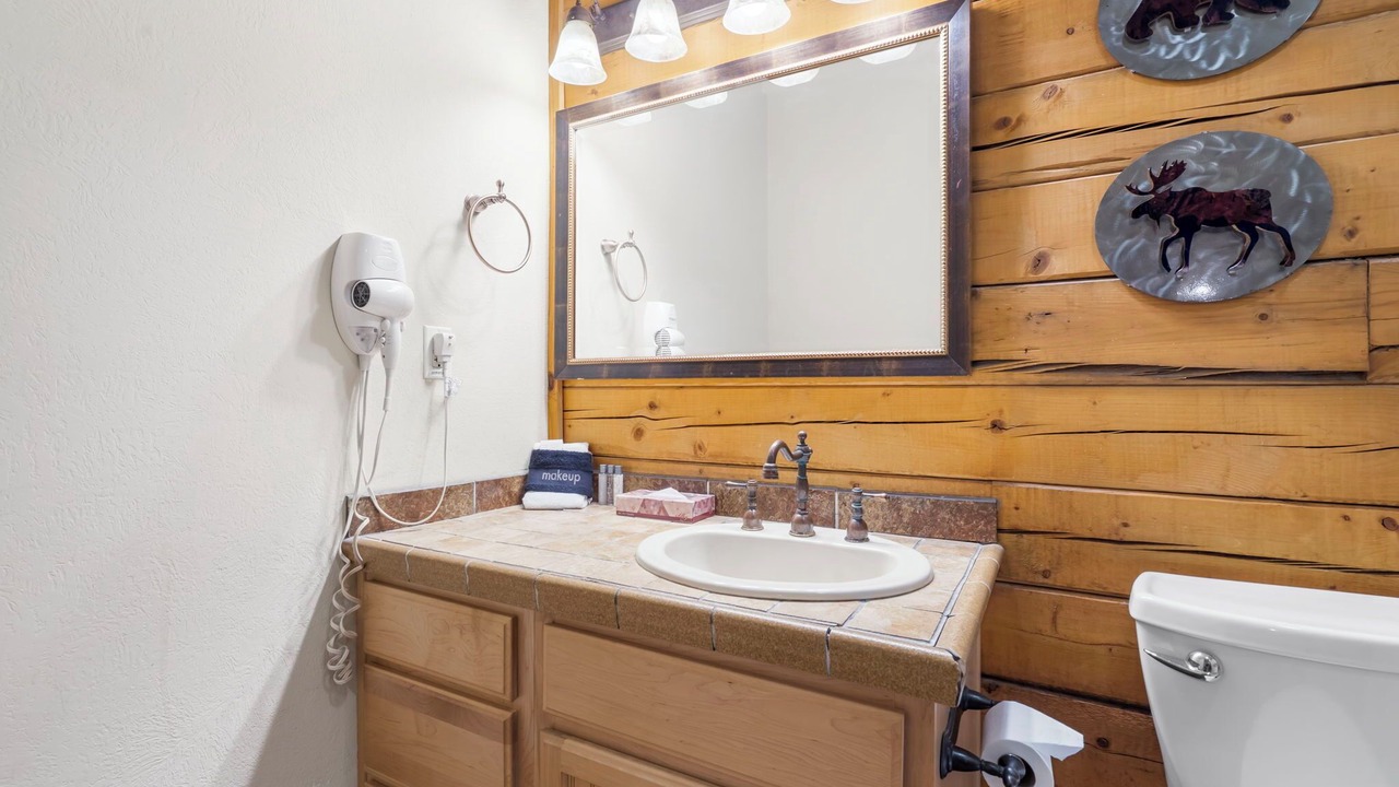 Photo of Bathroom in Branson Theater District