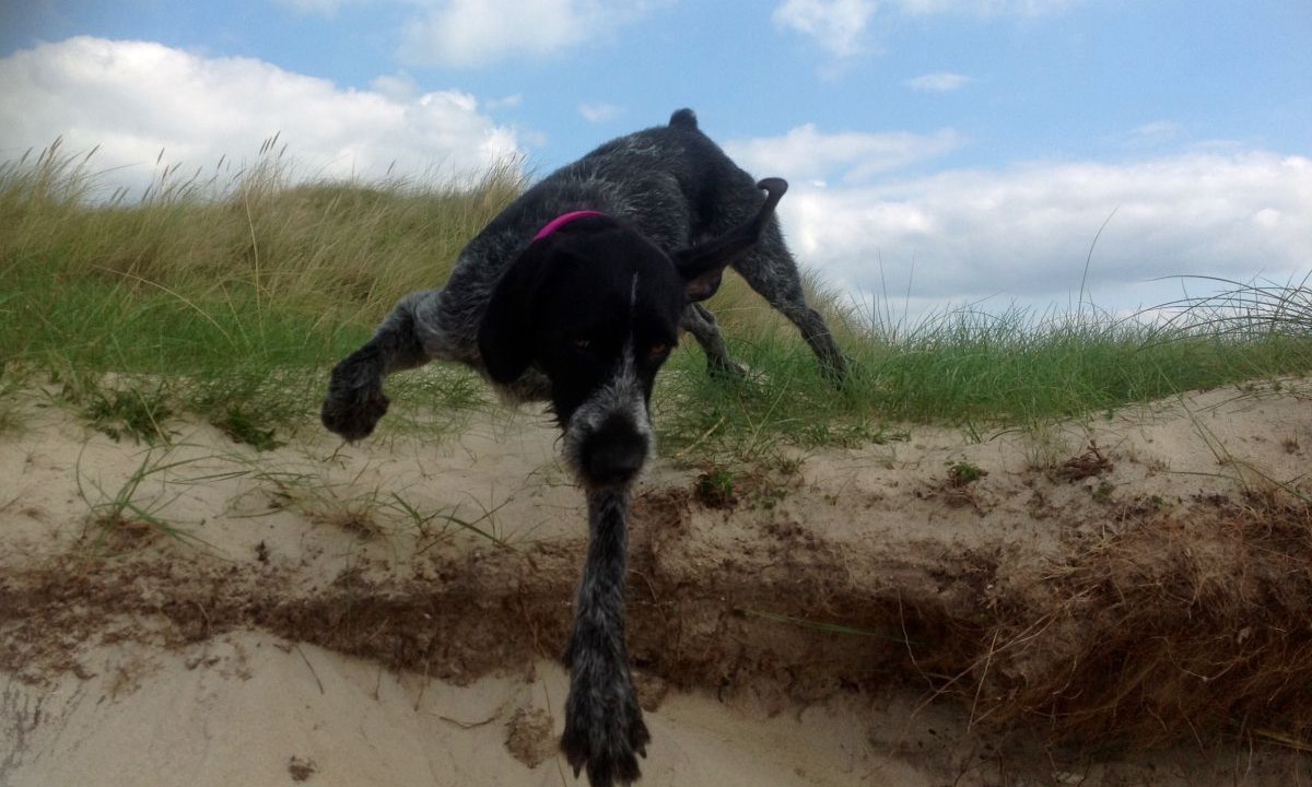 Photo of Others in Surville