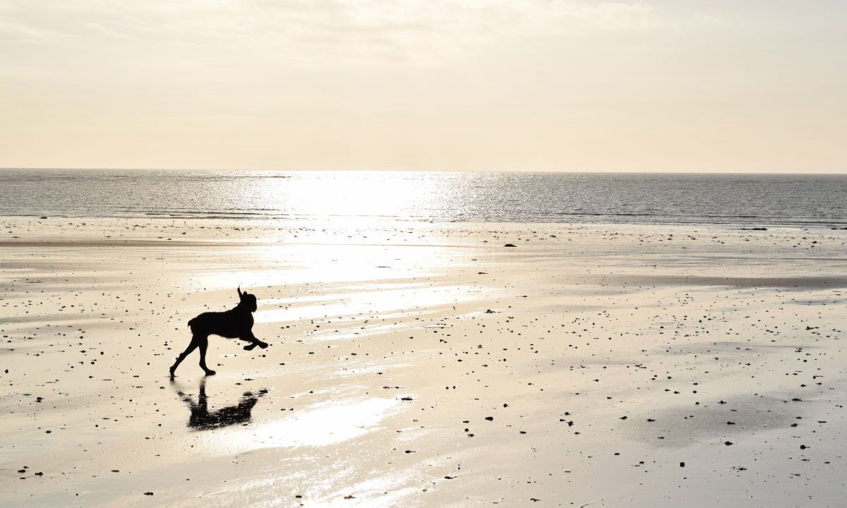 Photo of Others in Surville