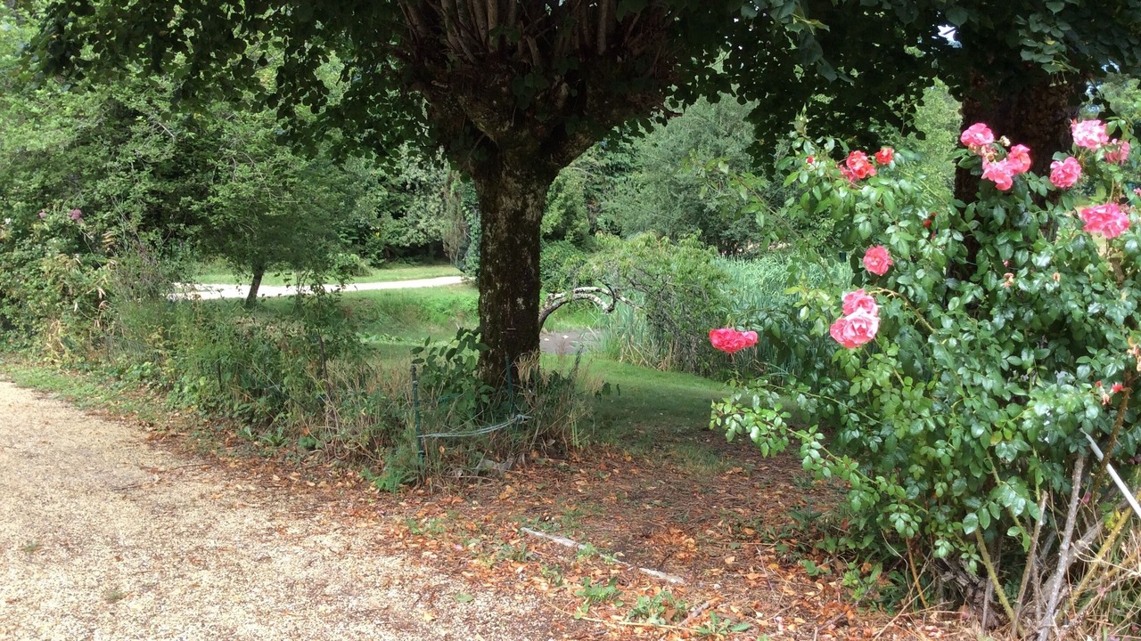 Photo of Outdoor in Compreignac