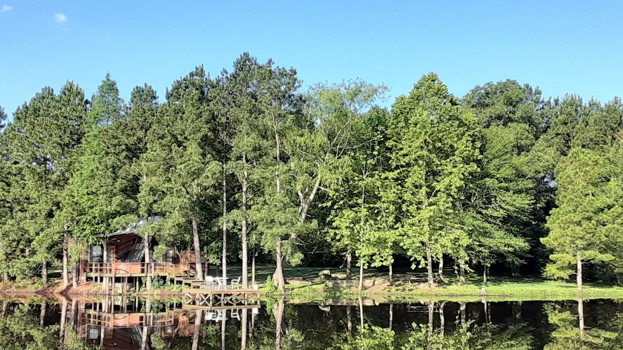 Photo of Outdoor in Eustace