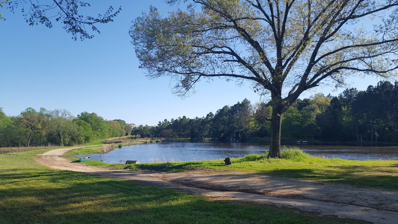 Photo of Outdoor in Eustace