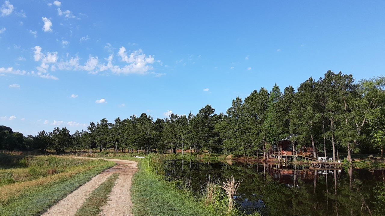 Photo of Outdoor in Eustace