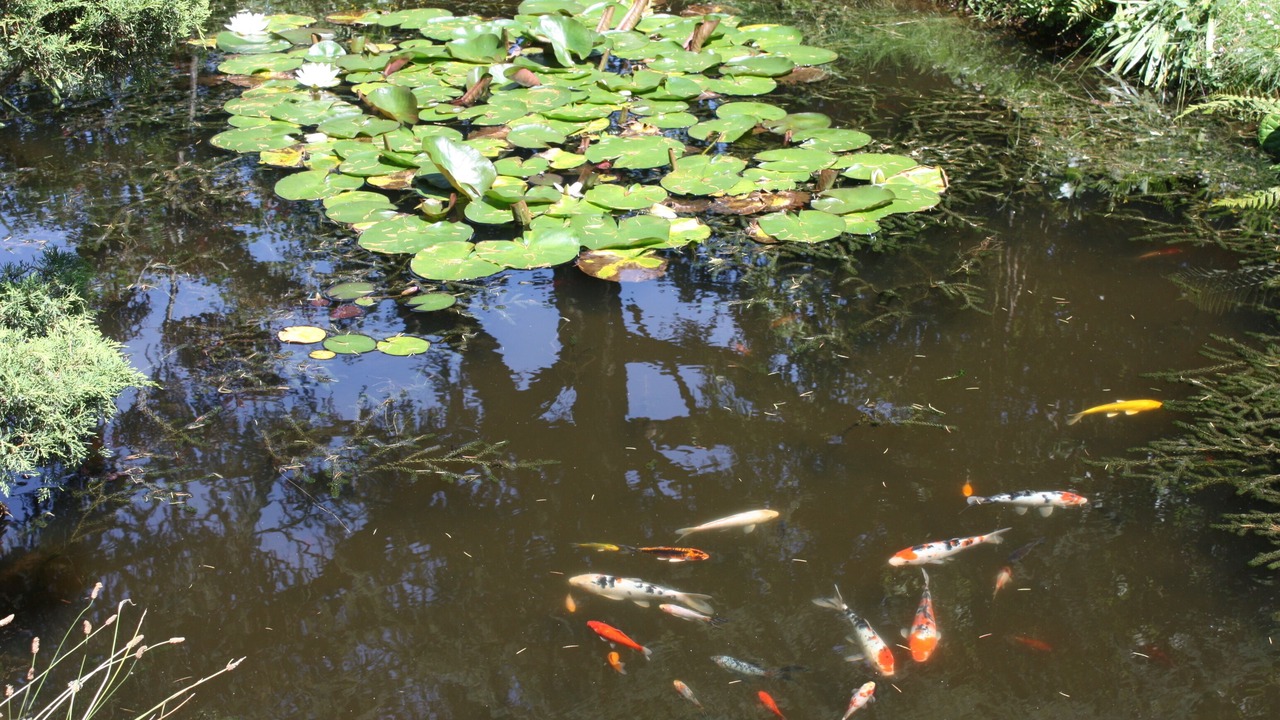 Photo of Outdoor in Pont Rousseau