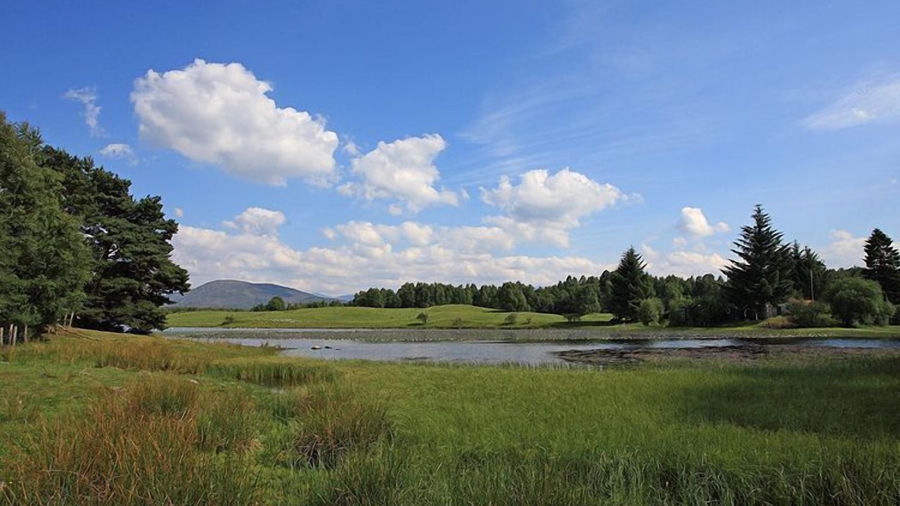 Photo of Others in Aviemore