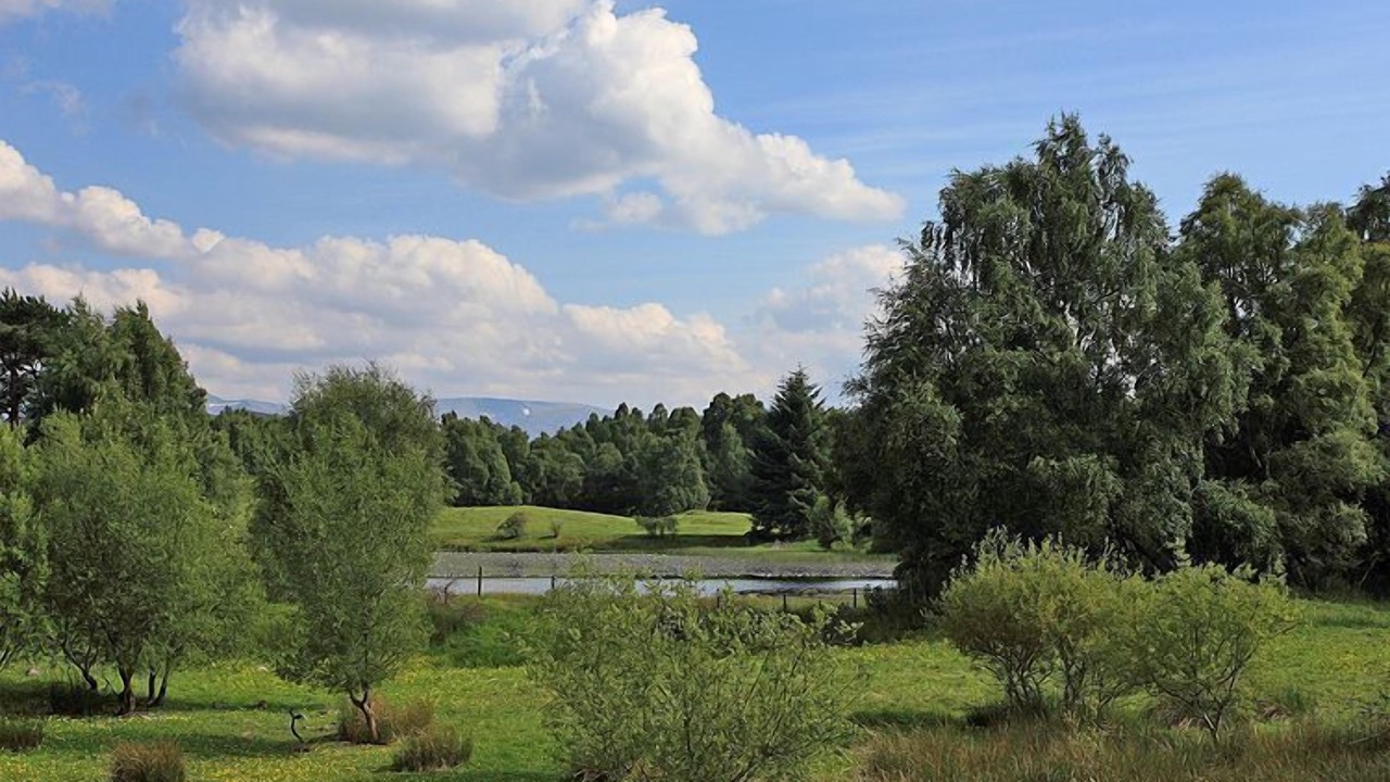 Photo of Others in Aviemore