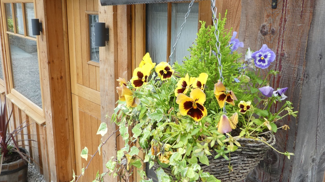 Photo of Outdoor in Boat of Garten
