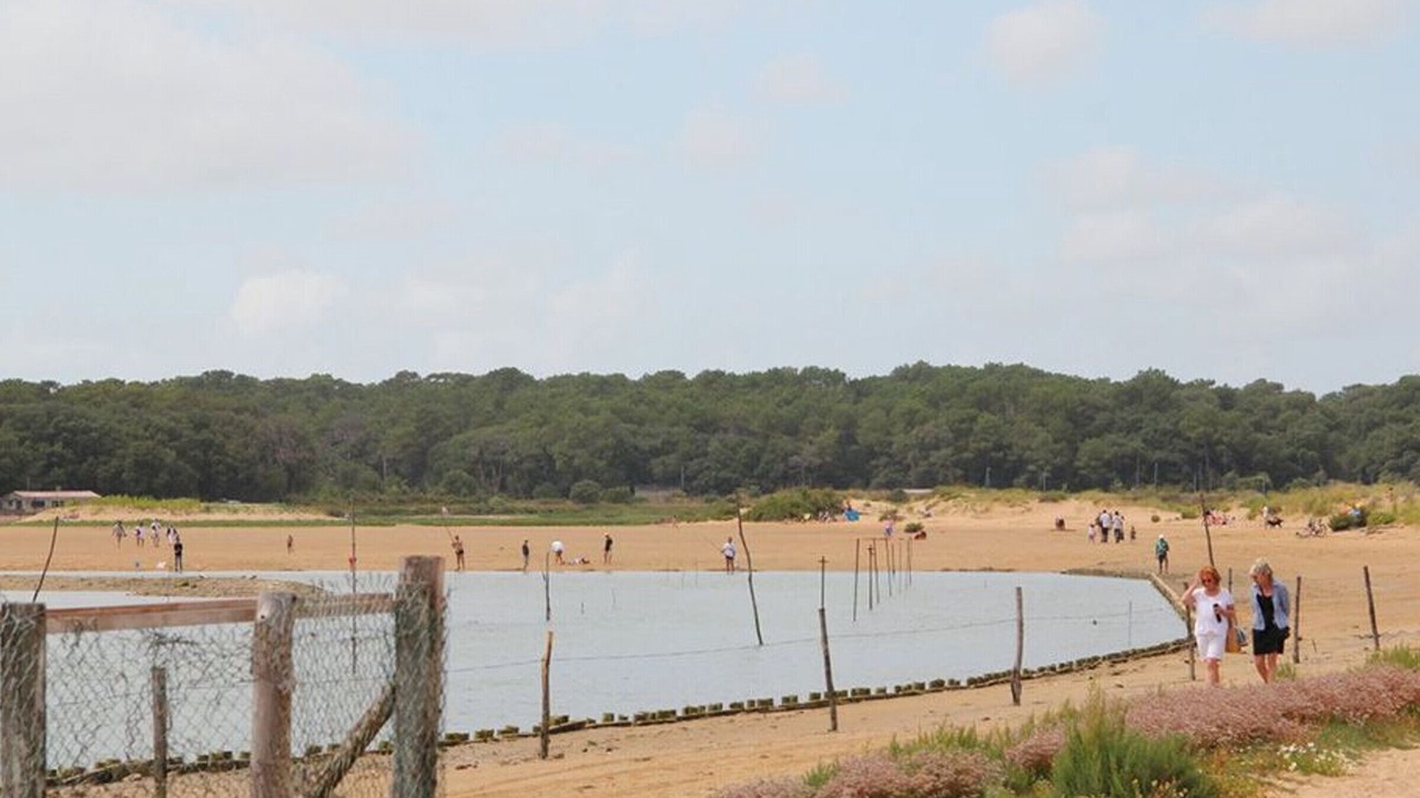 Photo of Others in Talmont-Saint-Hilaire
